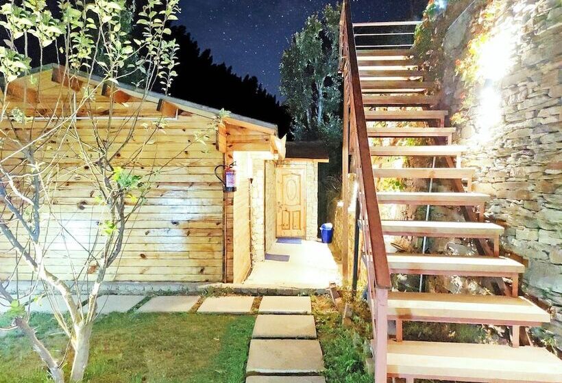 בית מלון כפרי Treehouse Resort