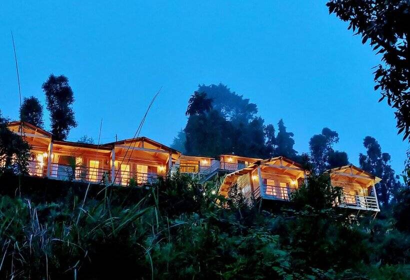 בית מלון כפרי Treehouse Resort