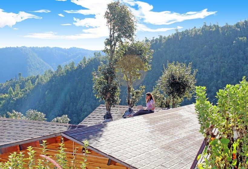 בית מלון כפרי Treehouse Resort