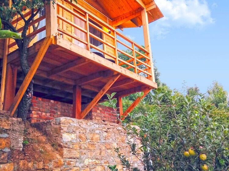 בית מלון כפרי Treehouse Resort