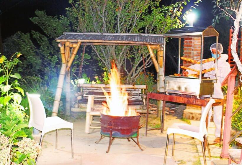 בית מלון כפרי Treehouse Resort