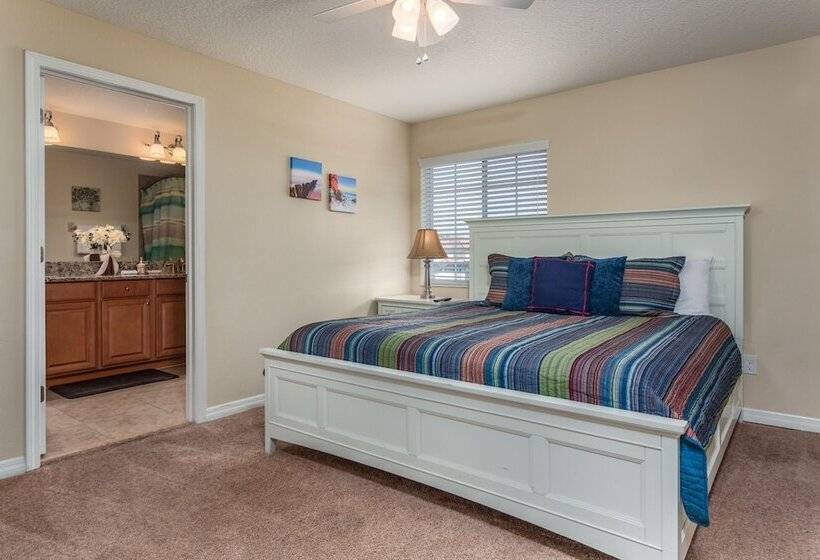 Paradise Palms Ru580