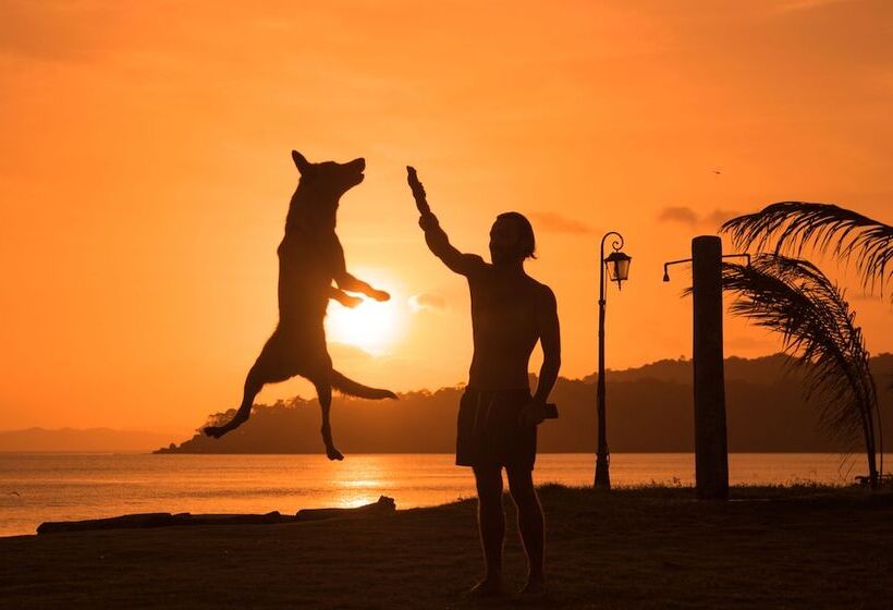 ユースホステル Beach Break Hotel & Surf Camp De Playa Venao