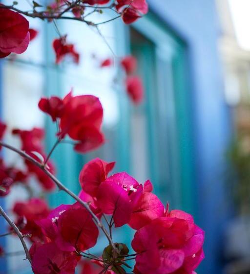 تختخواب و صبحانه Bondi Beach House