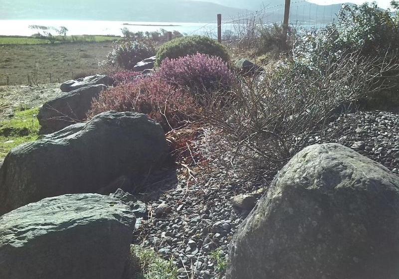 住宿加早餐  Currane Lodge Bed&Breakfast