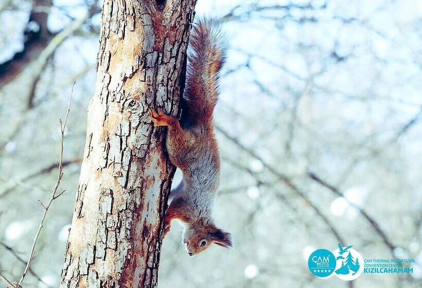 Cam Thermal Resort Hotel & Spa