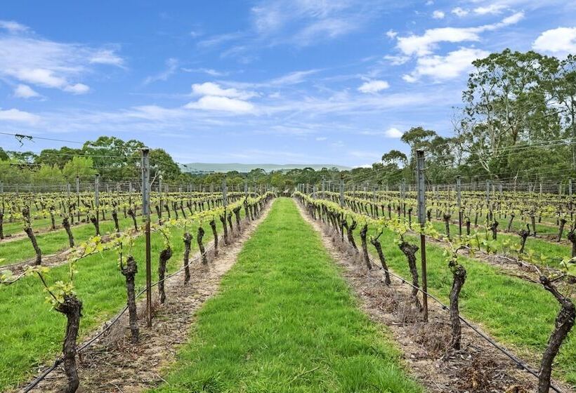 Gisborne Peak Winery Short Term Stays