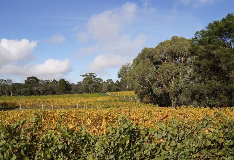 Gisborne Peak Winery Short Term Stays
