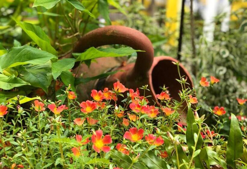 בית מלון כפרי Aguamarinha Pousada