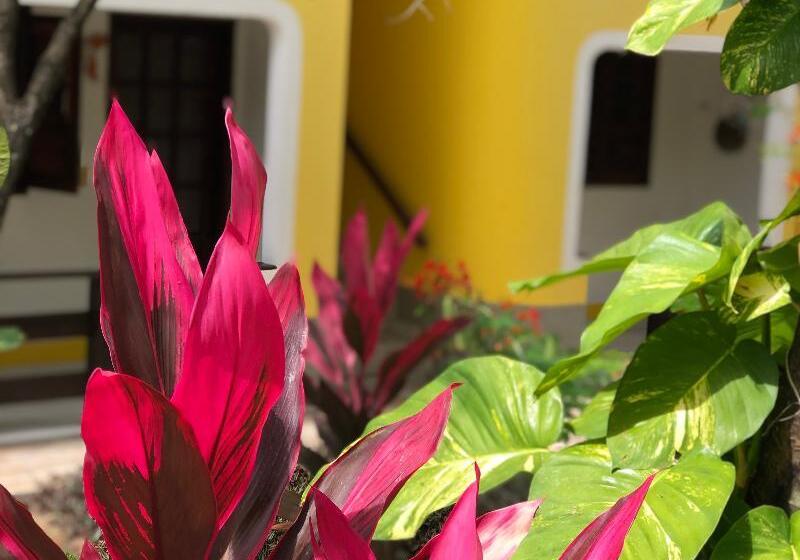 בית מלון כפרי Aguamarinha Pousada