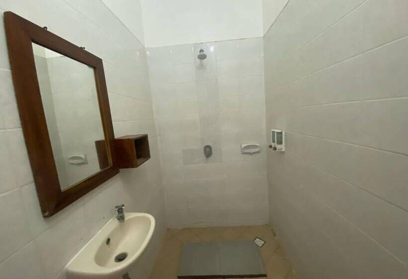 בית מלון כפרי Ashana