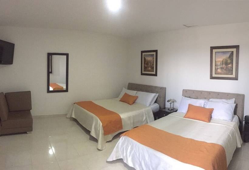 Отель Cafe Cafe Avenida