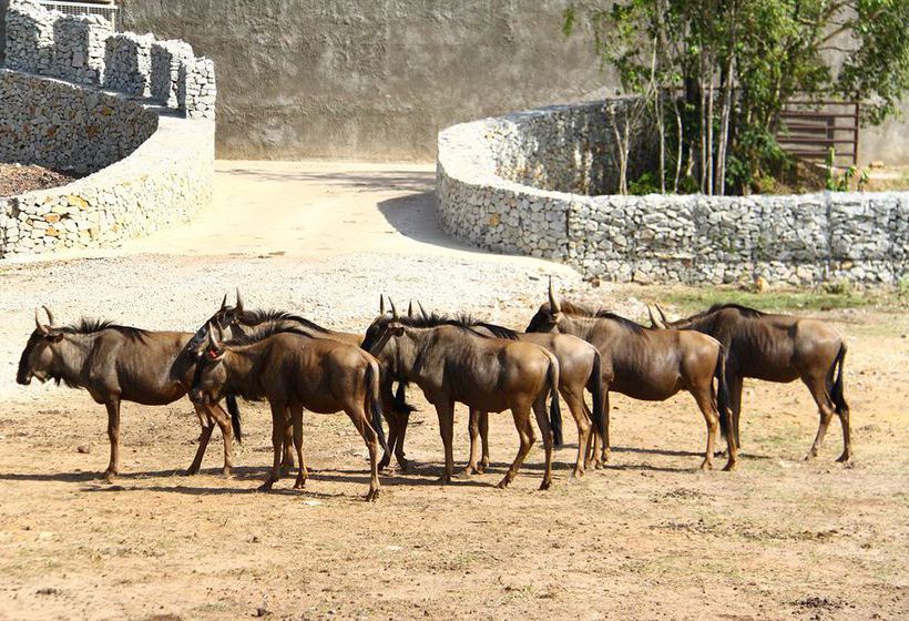 فندق Caribbean Bay Resort  Bukit Gambang Resort City