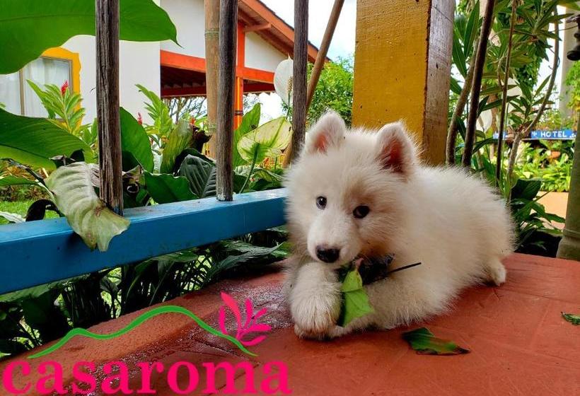 ホテル Casaroma Finca