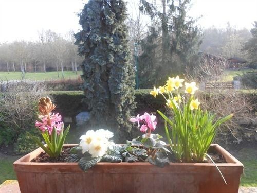 Отель Aux Marguerites