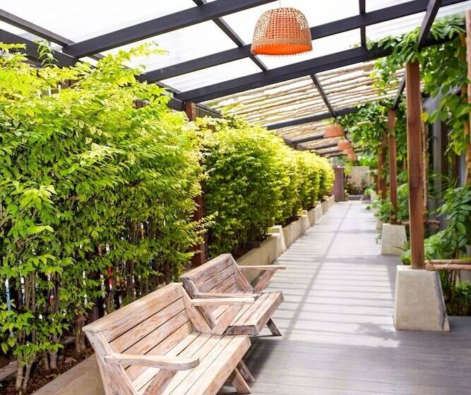 בית מלון כפרי City Dance