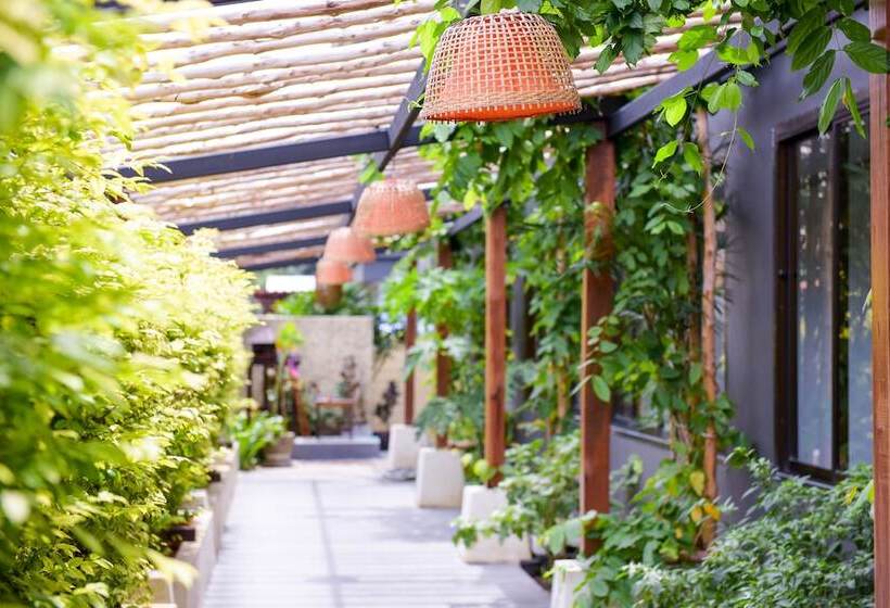 בית מלון כפרי City Dance