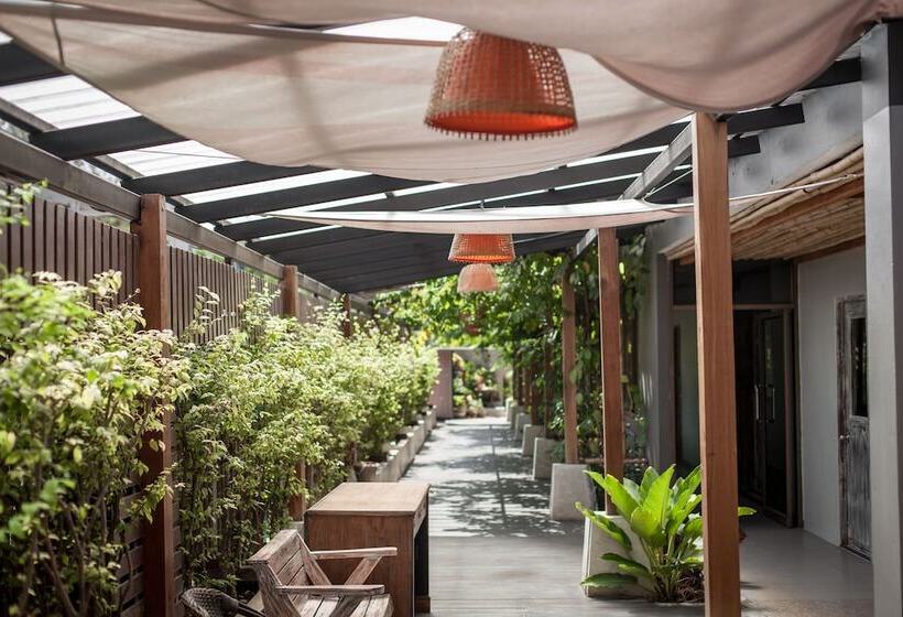 בית מלון כפרי City Dance