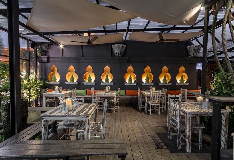 בית מלון כפרי City Dance