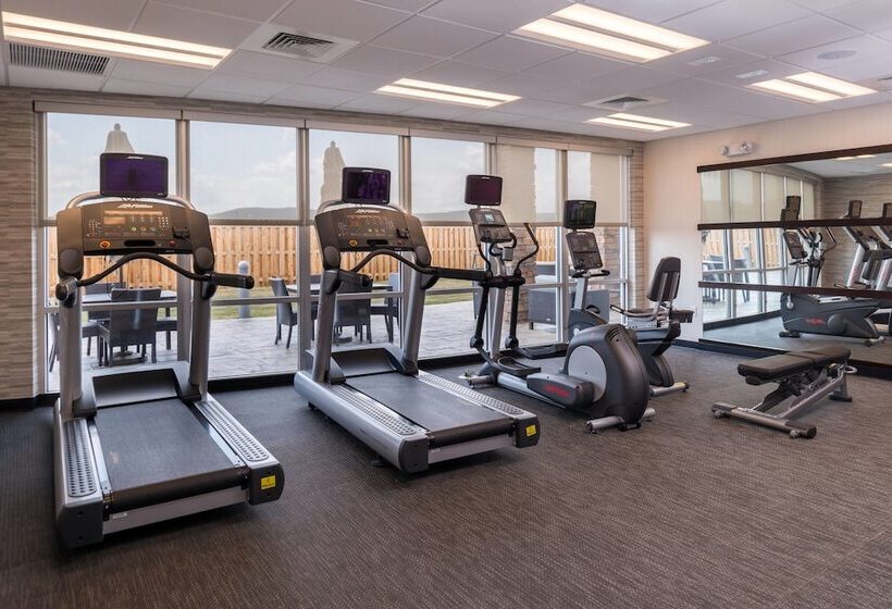 فندق Courtyard By Marriott Elmira Horseheads