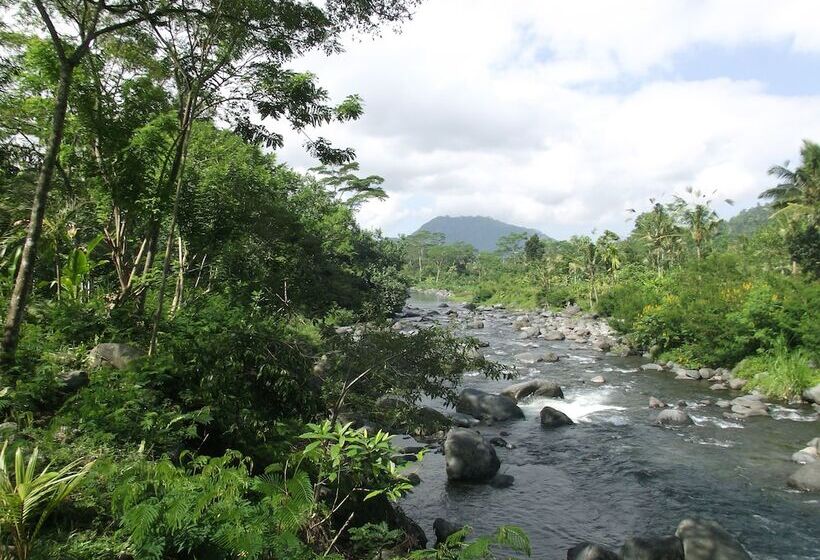 בית מלון כפרי Darmada Eco Resort