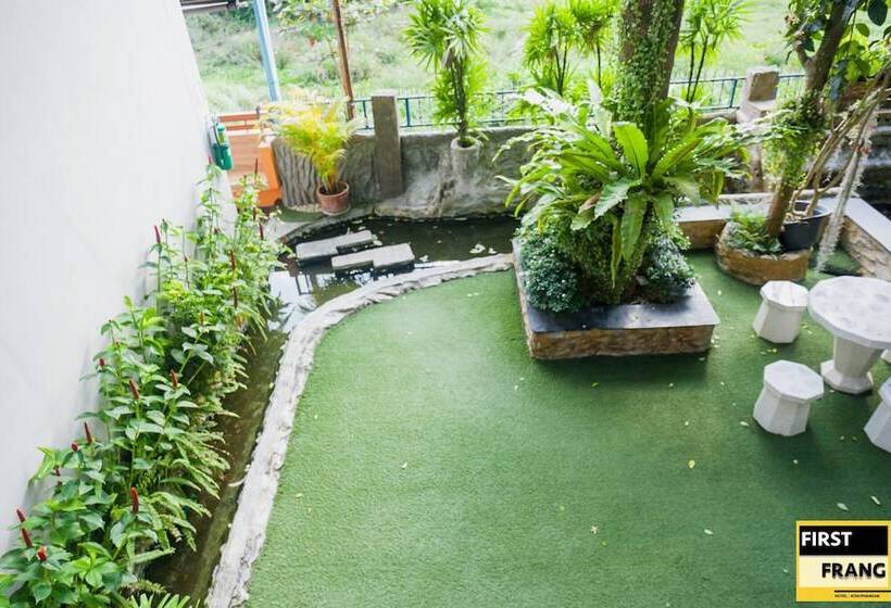 First And Frang Hotel   Koh Phangan