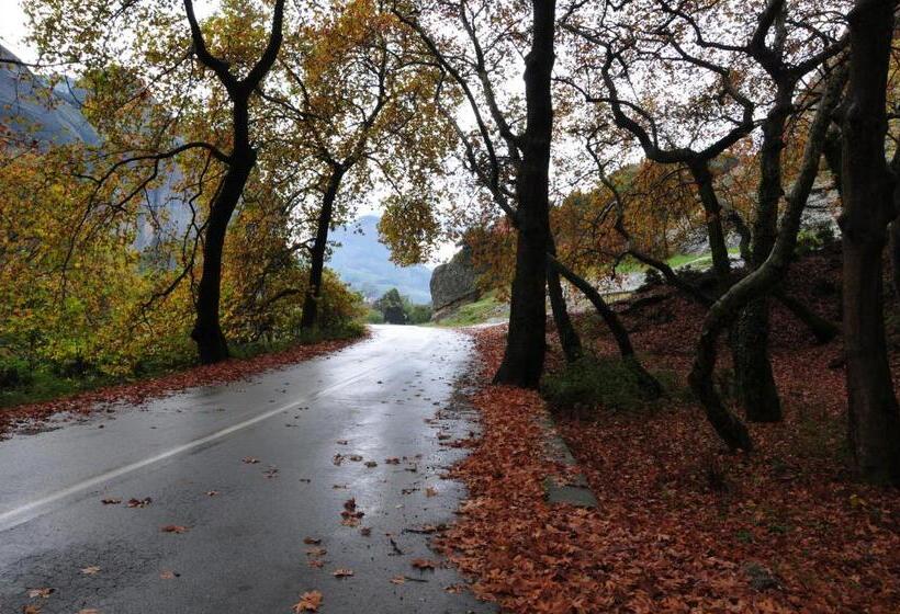 בית מלון כפרי Gogos