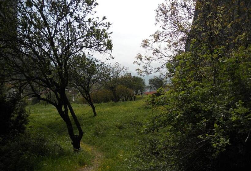 בית מלון כפרי Gogos