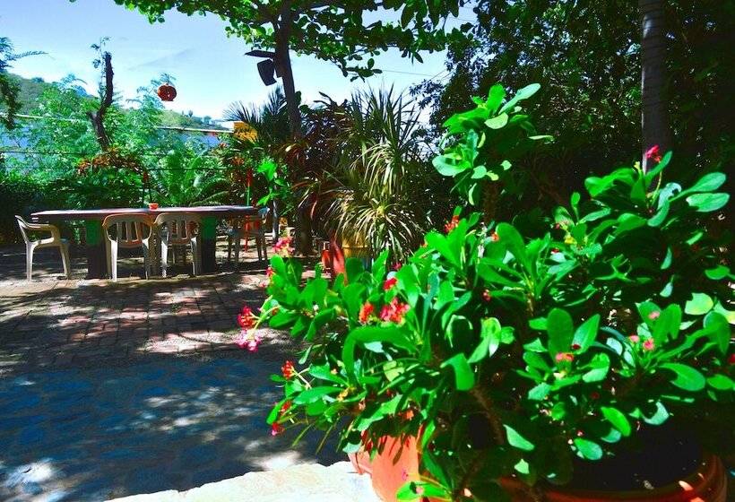 ホテル Hostal La Casa De Felipe