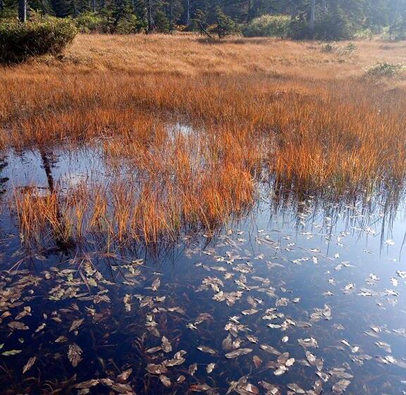 בית מלון כפרי K S House Hokkaido  Asahidake Onsen Hostel