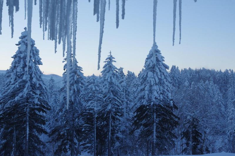 בית מלון כפרי K S House Hokkaido  Asahidake Onsen Hostel