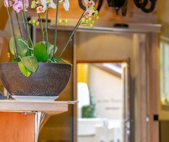 Отель Luiseluisenhof