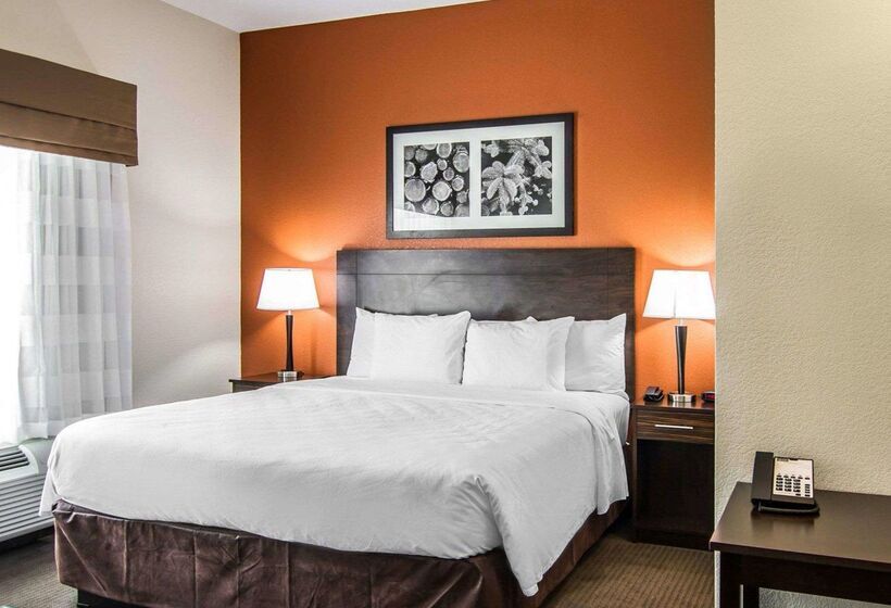 호텔 Mainstay Suites Lufkin