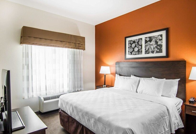 호텔 Mainstay Suites Lufkin