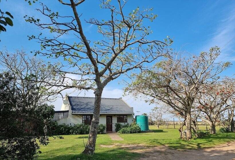 هتل Mansfield Private Reserve