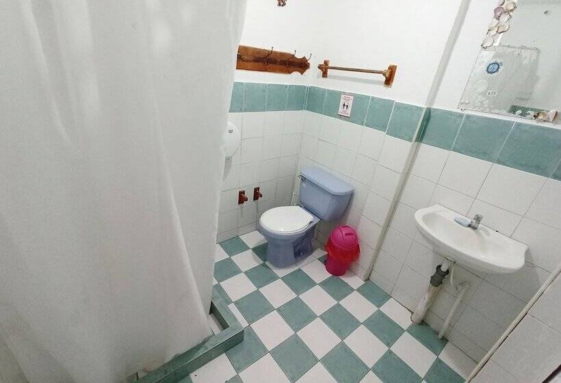 בית מלון כפרי Posada Nativa Lizard House