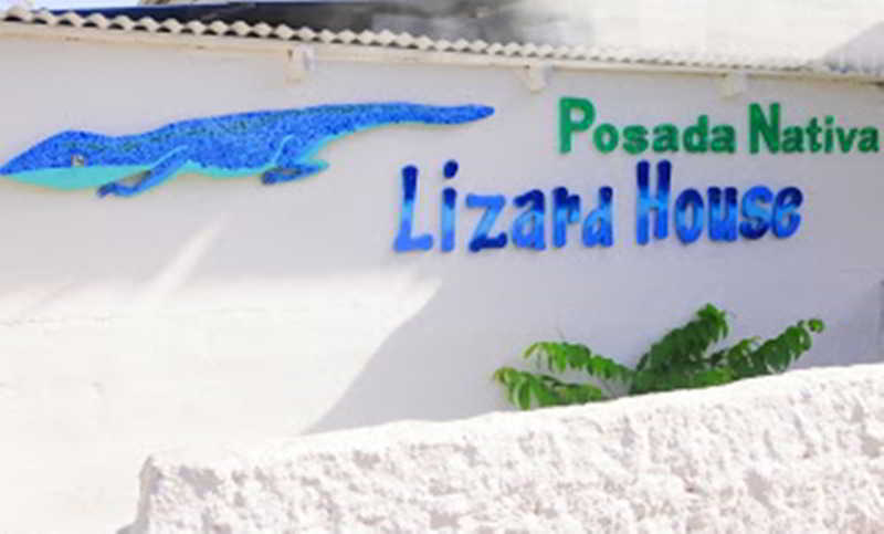 בית מלון כפרי Posada Nativa Lizard House