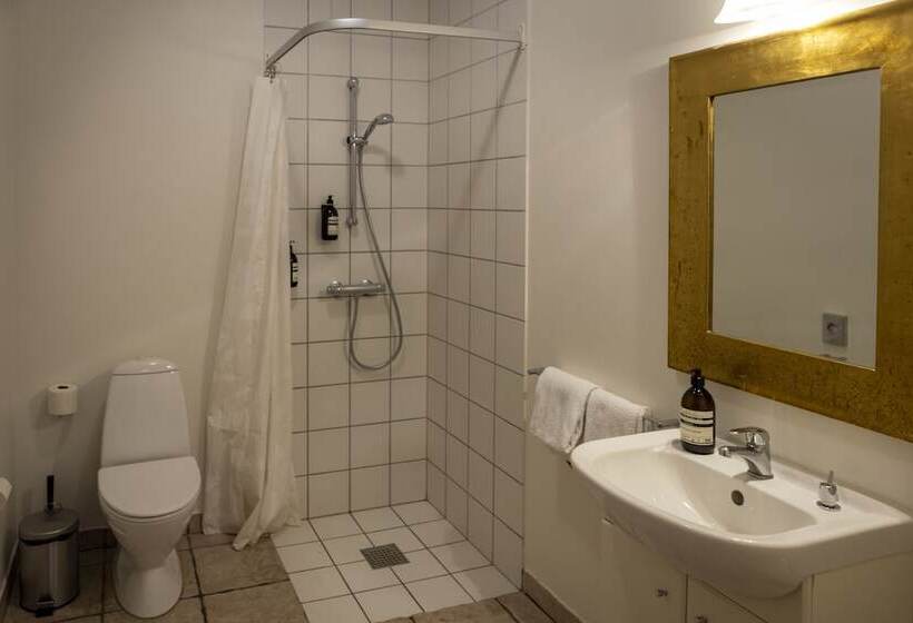 בית מלון כפרי Sonnerupgaard Gods