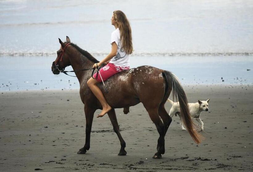 فندق The Royal Purnama   Adults Only