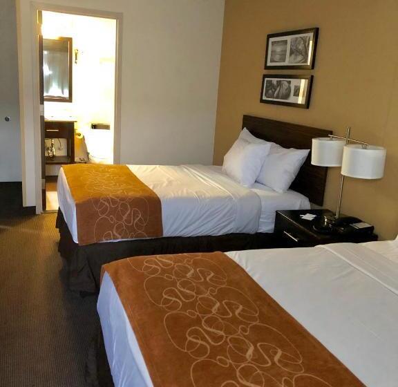 酒店 The Vue Inn Brooklyn