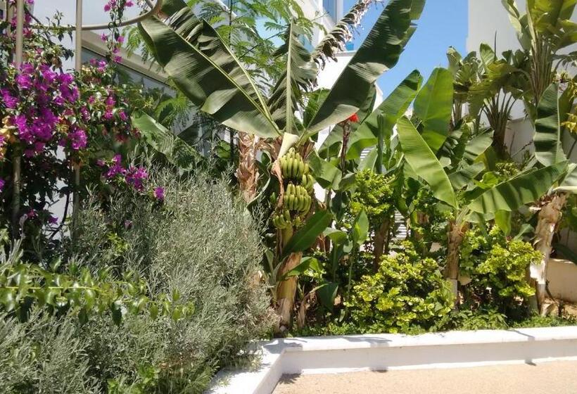 Отель Vrissaki Beach