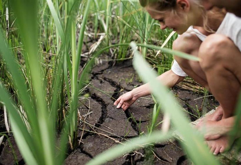 Moor&mehr Bio Kurhotel Bad Kohlgrub