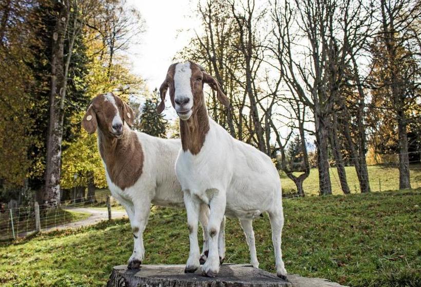 Moor&mehr Bio Kurhotel Bad Kohlgrub