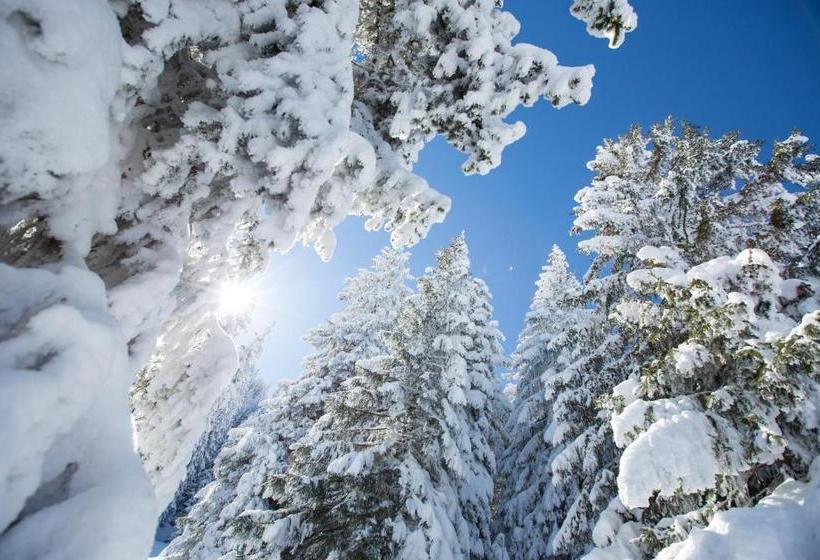 Moor&mehr Bio Kurhotel Bad Kohlgrub