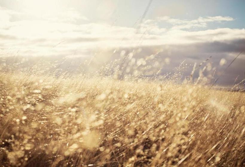 Moor&mehr Bio Kurhotel Bad Kohlgrub