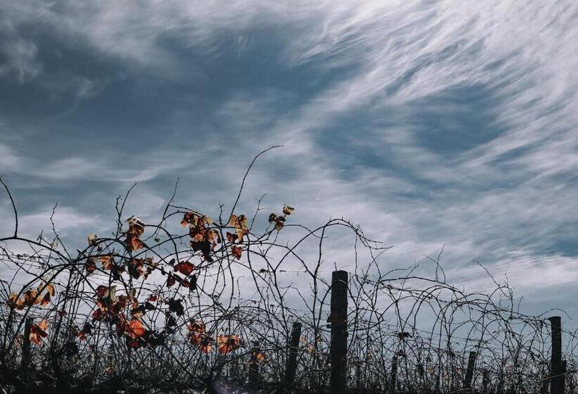 מוטל Denman Motor Inn