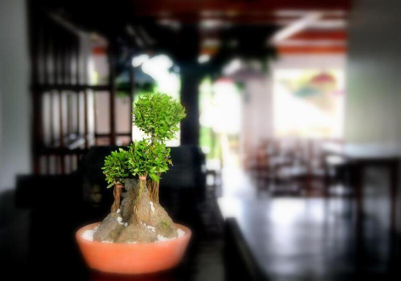 Oasis Resort And Spas