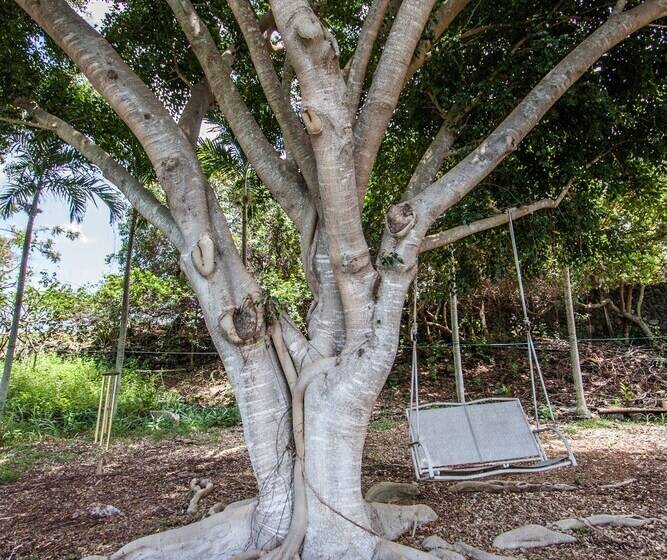 פנסיון Banyan Tree Sanctuary