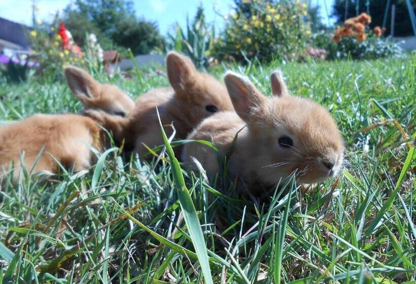 פנסיון La Ferme Des 3 Suissesses