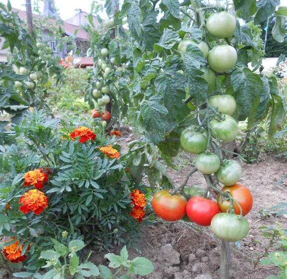 פנסיון La Ferme Des 3 Suissesses